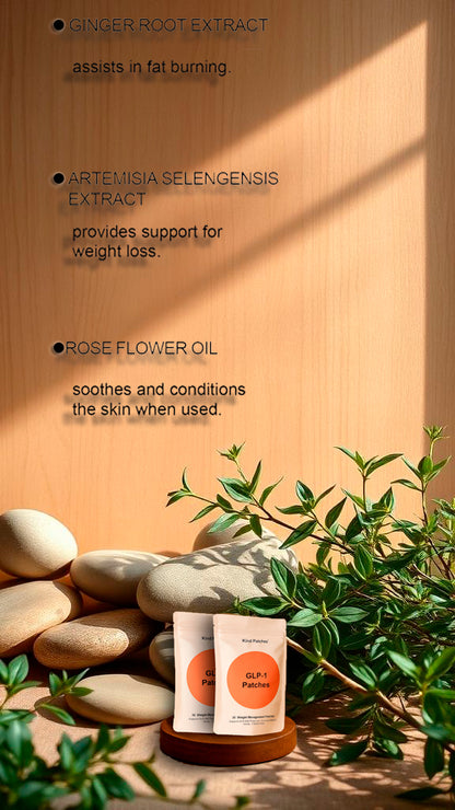 Herbal Wellness Patches | Daily Balance & Comfort (30/60/90 pcs)